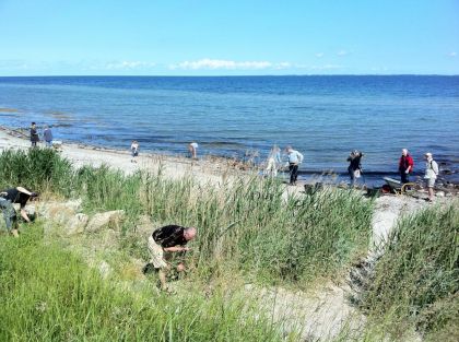 Strandrens