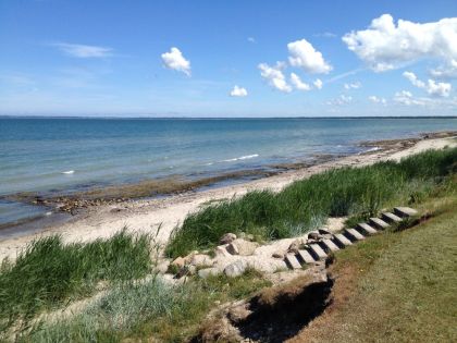 strandrens